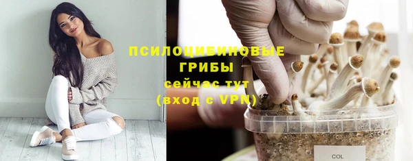 прущие крисы Надым