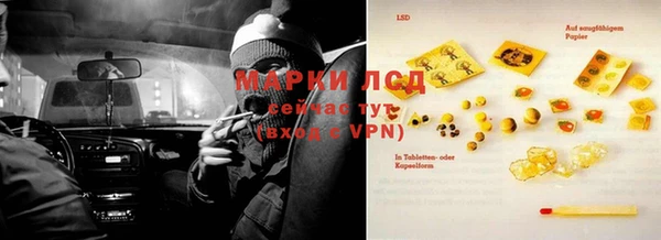 прущие крисы Надым