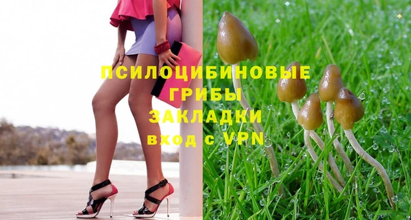 прущие крисы Надым